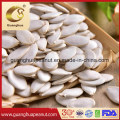 Perfect Quality New Crop Snow White Pumpkin Seed